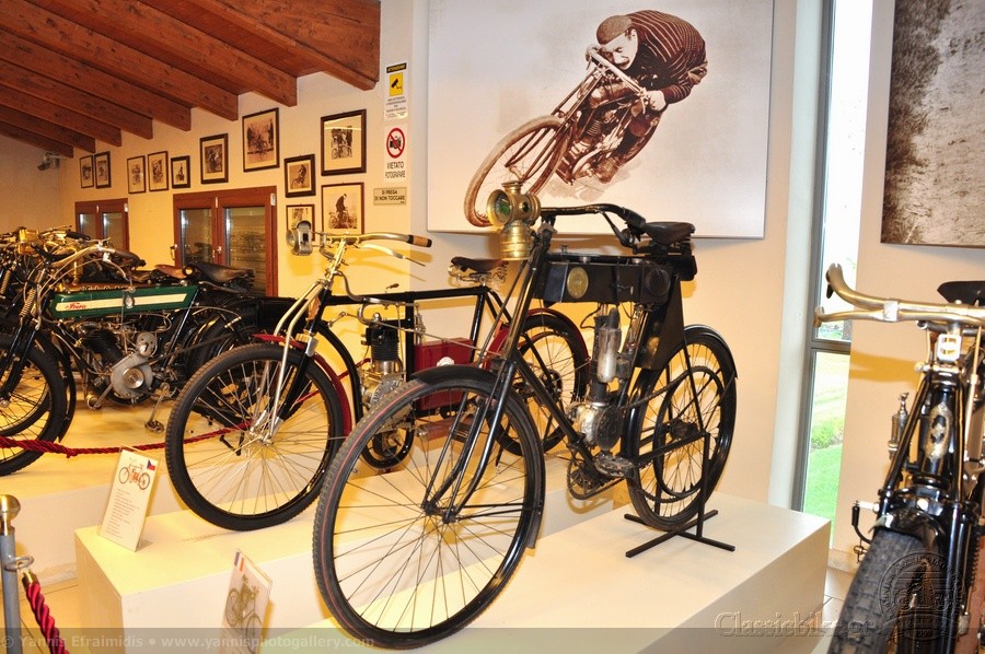 Collezione Salsapariglia