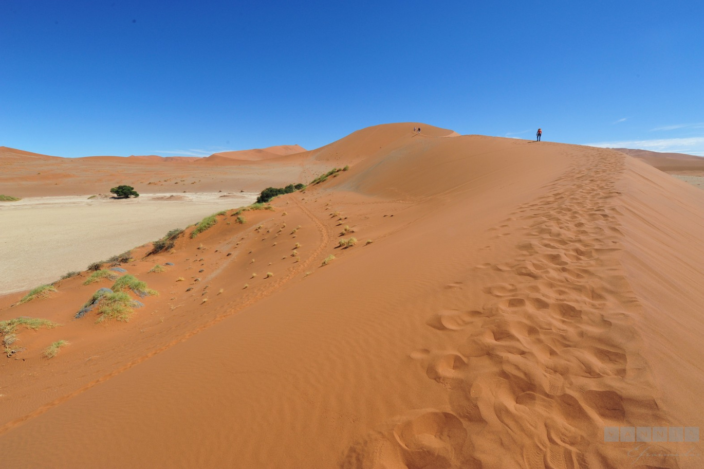 Namibia.Dunes.036