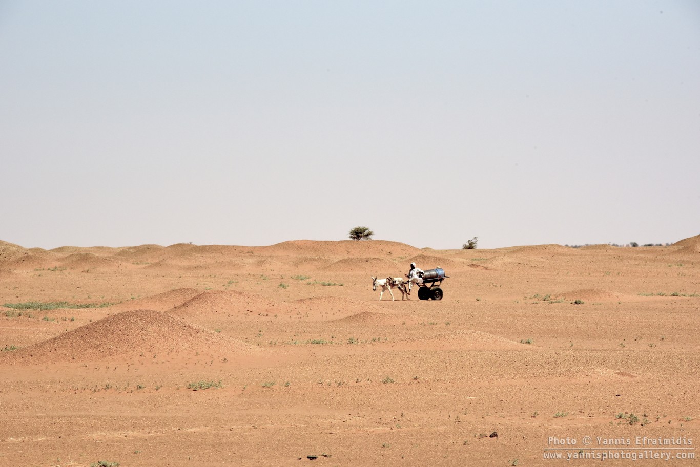 SudanLandscape 003