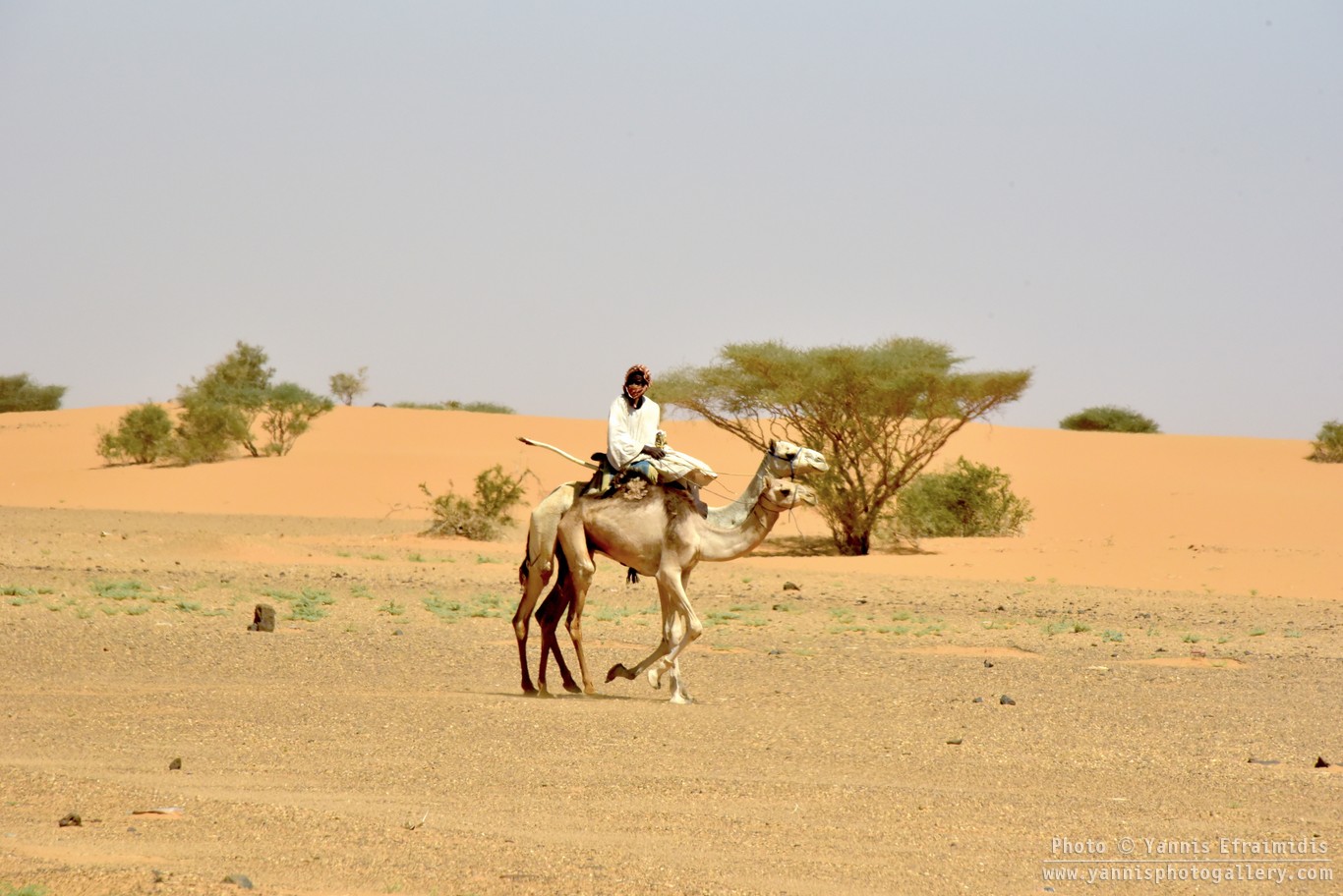 SudanLandscape 007