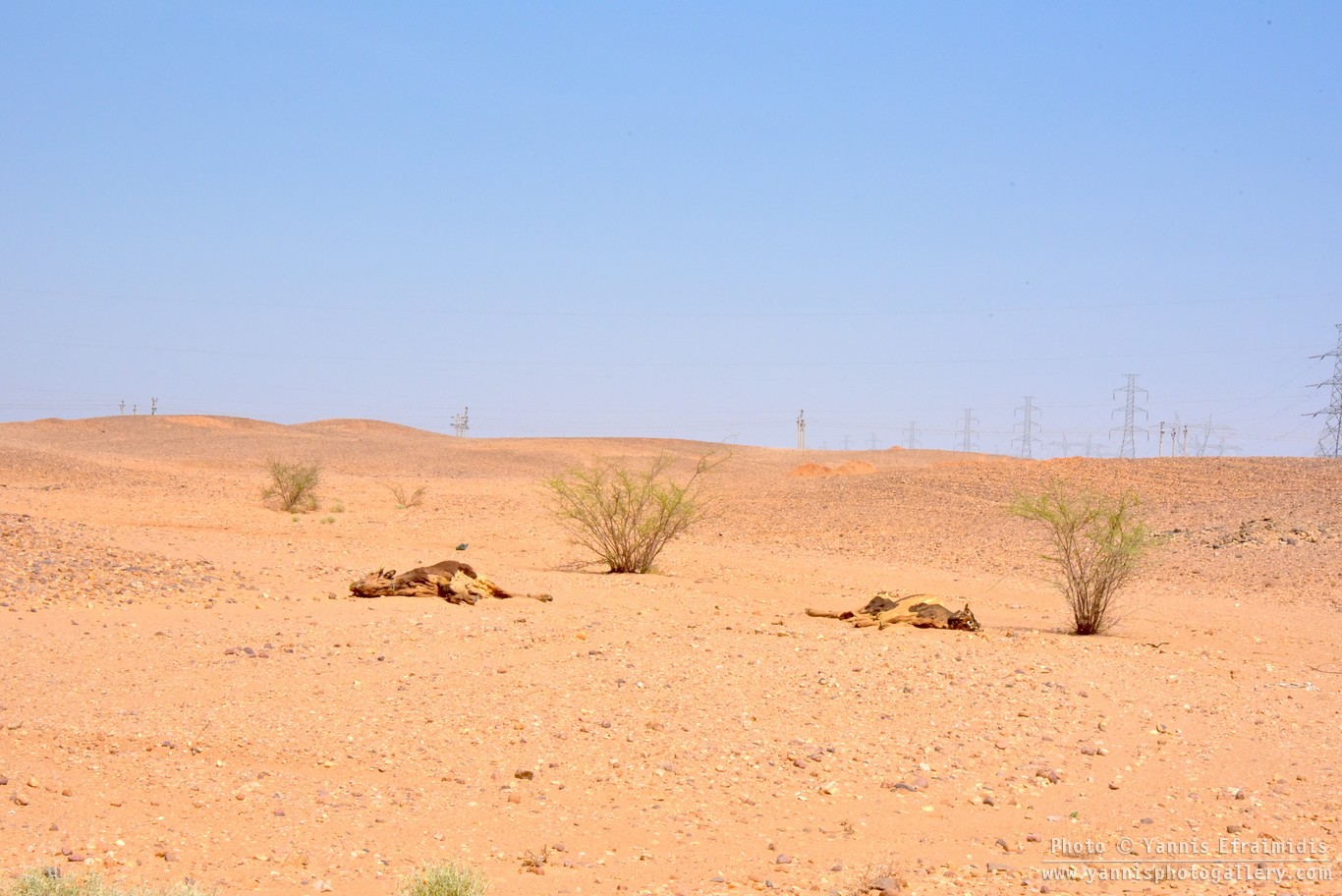 SudanLandscape 024