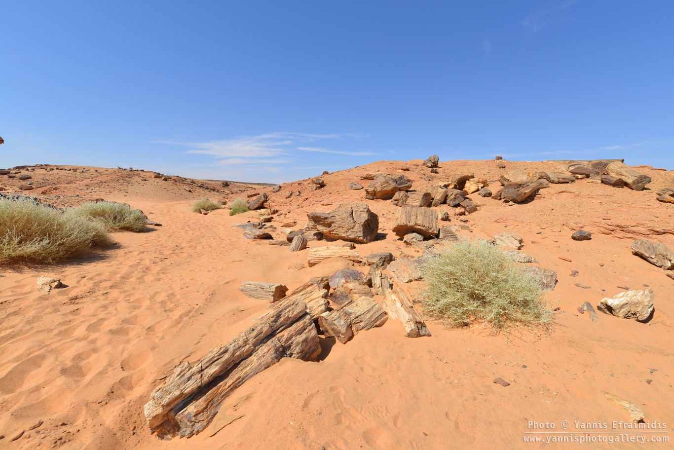 SudanLandscape 044
