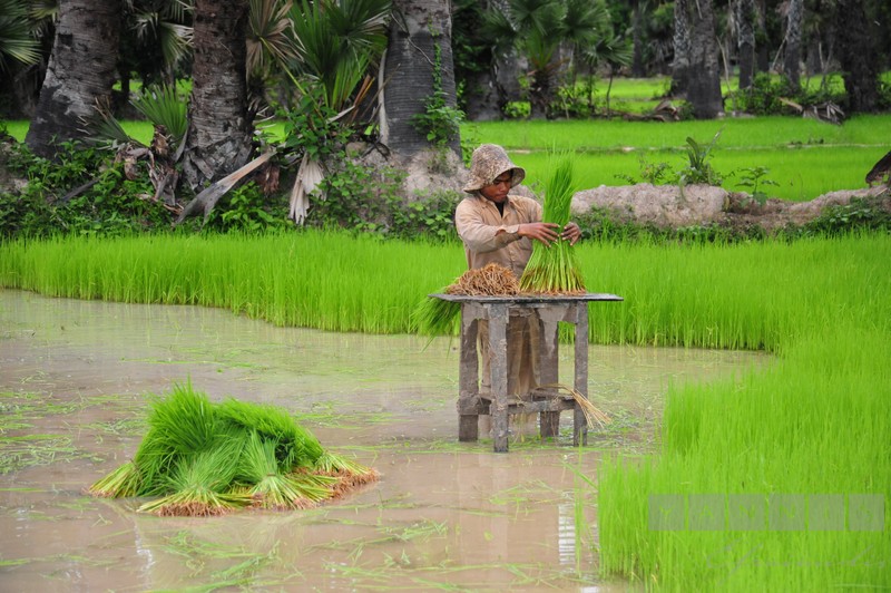 Living in the province