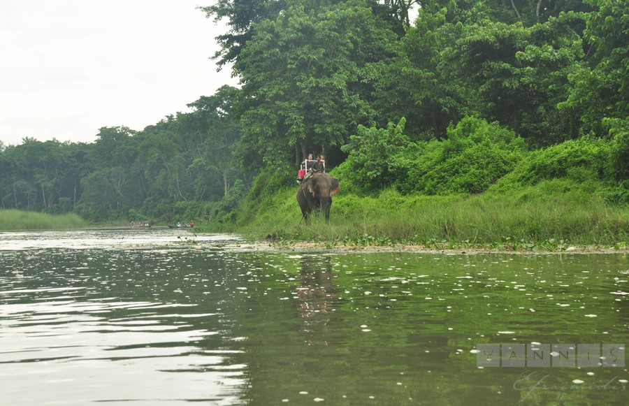 Chitwan Wild Animal Park