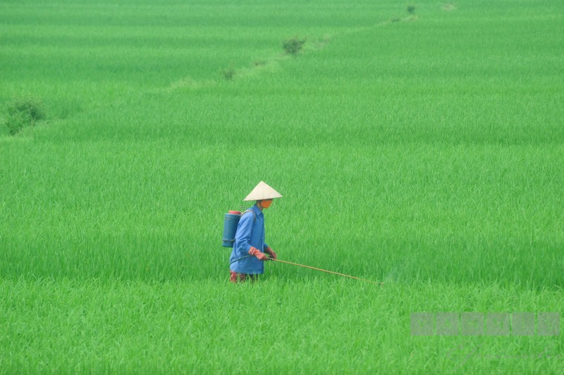 Living in the province